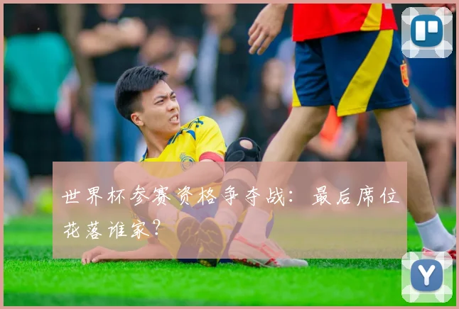 世界杯参赛资格争夺战:最后席位花落谁家?