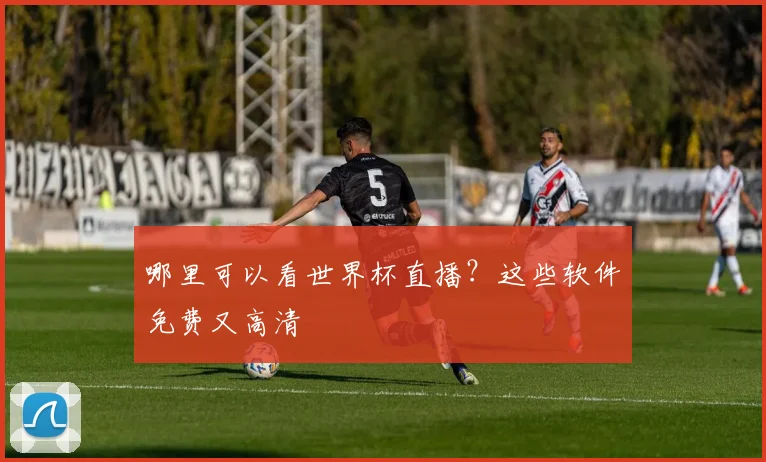 哪里可以看世界杯直播?这些软件免费又高清