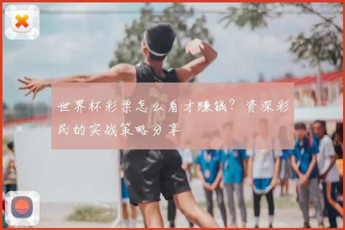 世界杯彩票怎么看才赚钱?资深彩民的实战策略分享