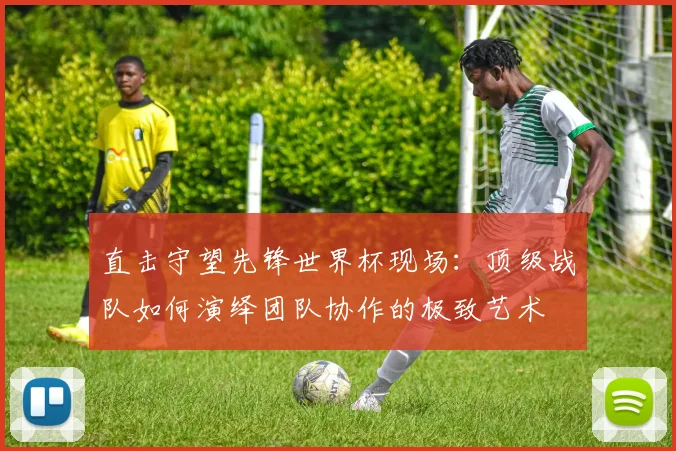 直击守望先锋世界杯现场：顶级战队如何演绎团队协作的极致艺术