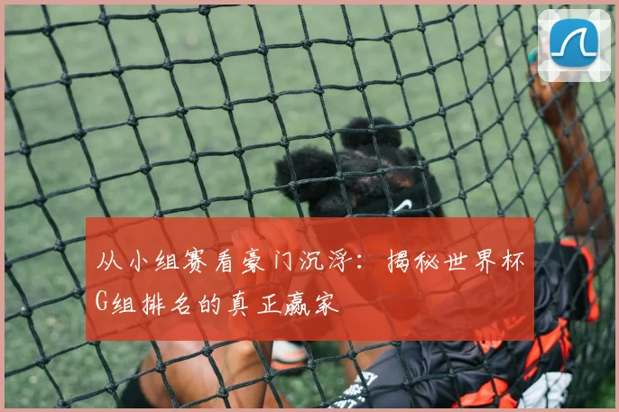 从小组赛看豪门沉浮：揭秘世界杯G组排名的真正赢家