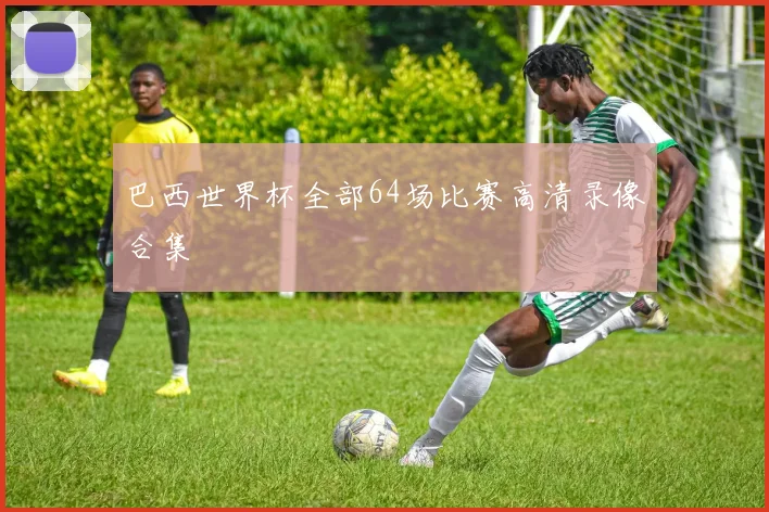 巴西世界杯全部64场比赛高清录像合集